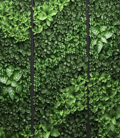 Wall Greens