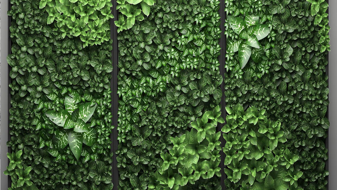 Wall Greens
