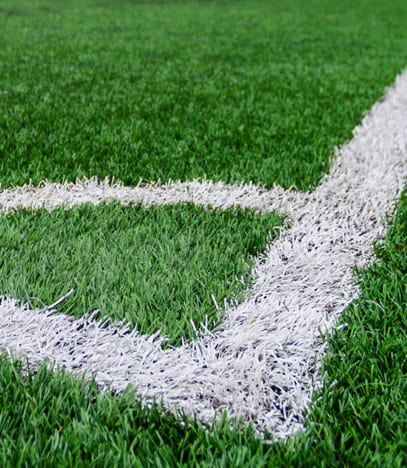 Sports grade grass – Hockey, Cricket, Football